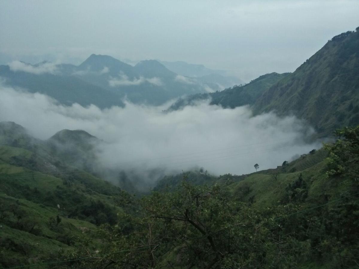 Oyo 11877 Royal Residency Hotell New Tehri Rum bild