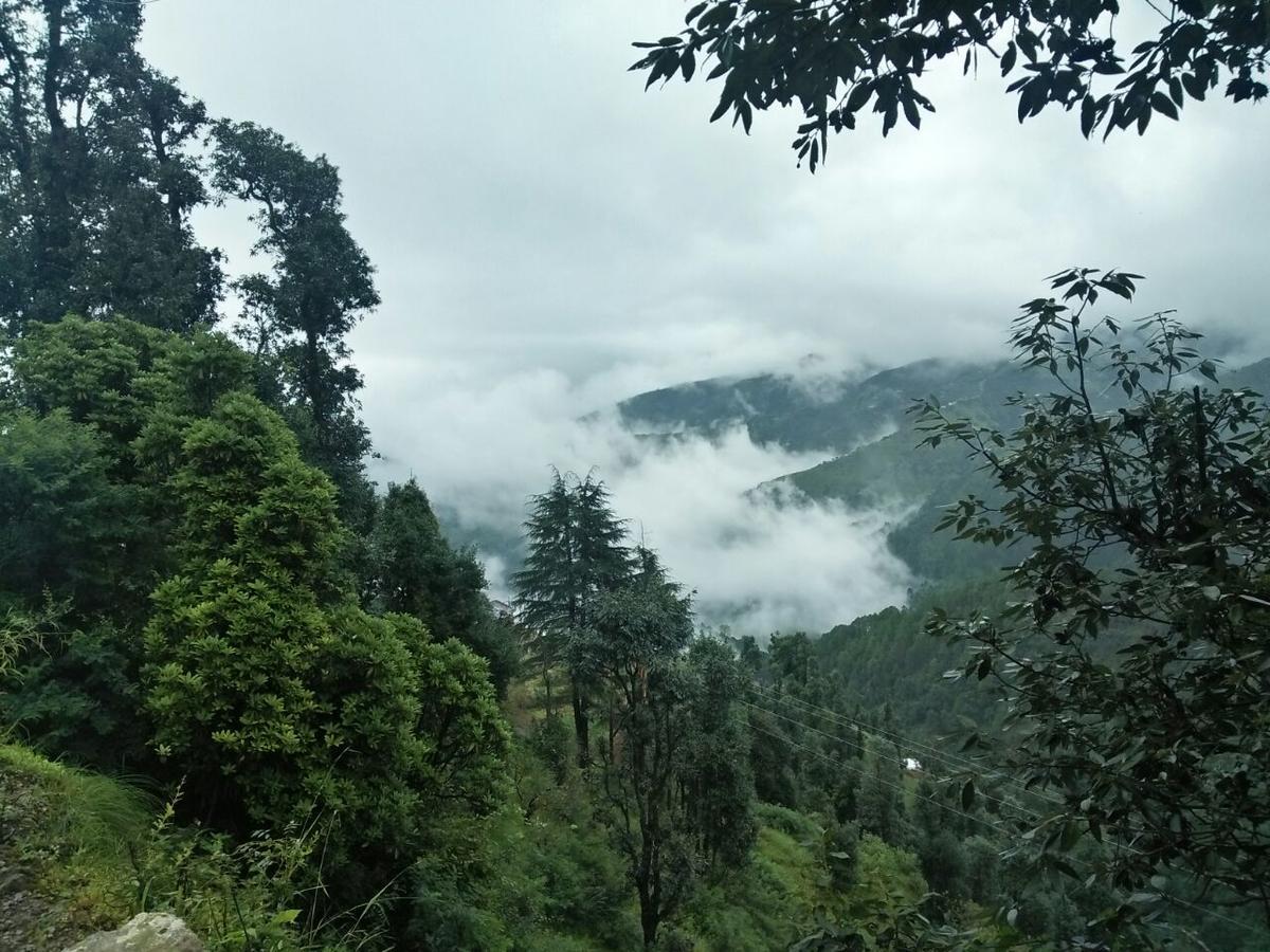 Oyo 11877 Royal Residency Hotell New Tehri Rum bild